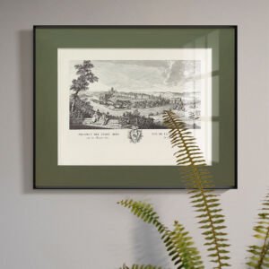 A framed black and white historical etching depicting an old European town landscape with a river and figures in the foreground, set against a white mat inside an olive-green frame, with a blurry green fern in the lower right foreground