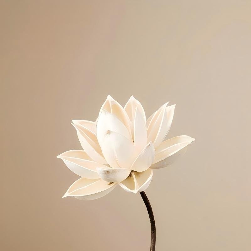 The Zen Ribbed Spindle Ceramic Vase & Dried Lotus Set | Elegant Wabi-Sabi Desktop Botanical Art - Image 2