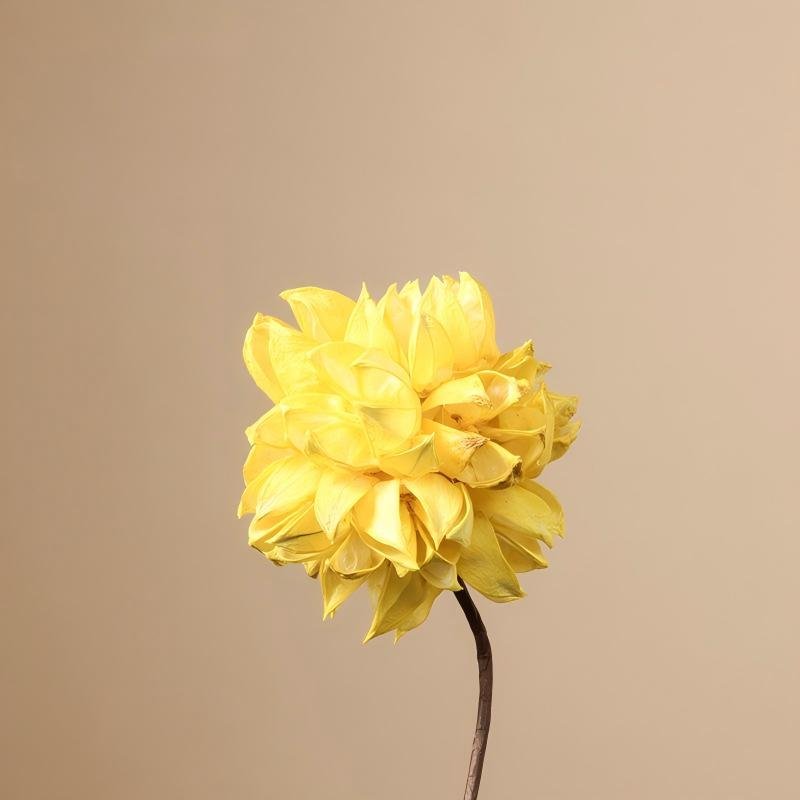 The Zen Ribbed Spindle Ceramic Vase & Dried Lotus Set | Elegant Wabi-Sabi Desktop Botanical Art - Image 10