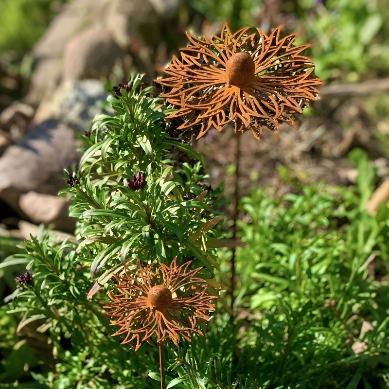 Rusted metal wildflower garden stakes, hollow daisy flower silhouette yard art