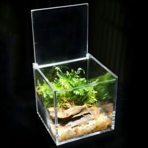 A clear acrylic cube terrarium container with an open hinged lid, displaying a miniature landscape of lush green ferns, natural rock slate, and small light-colored pebbles set against a solid black background.