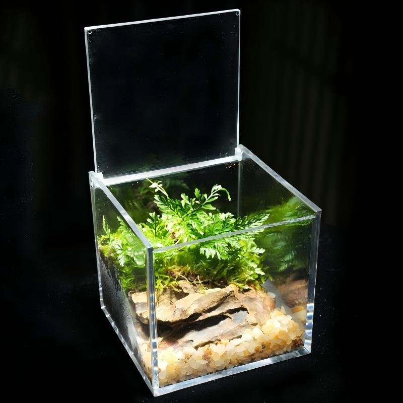 A clear acrylic cube terrarium container with an open hinged lid, displaying a miniature landscape of lush green ferns, natural rock slate, and small light-colored pebbles set against a solid black background.