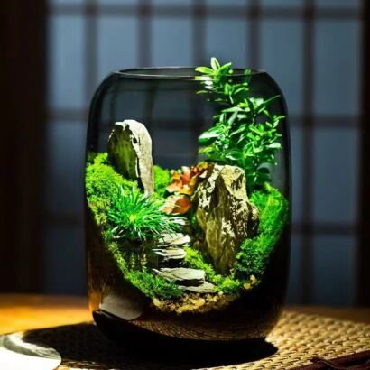A tinted glass terrarium container featuring a miniature landscape with lush green moss, natural rock formations, a stone pathway, and small green foliage plants against a serene background.