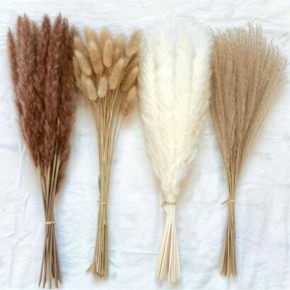 Four distinct tied bundles of dried botanicals laid side-by-side on a white fabric surface, including dark brown reed grass plumes, soft beige bunny tail grass, fluffy white pampas grass, and natural tan reed plumes.