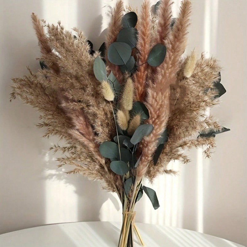 A full arrangement of fluffy neutral beige pampas grass, reddish-brown reed plumes, soft ivory bunny tails, and dark green eucalyptus branches tied together at the stems standing on a light surface against a soft-lit wall.