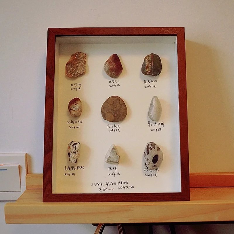 Handmade hollow three-dimensional specimen frame with shells, stones, plants, dried flowers, for collection, preservation, and display. - Image 2