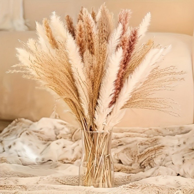 A full, fan-like dried botanical arrangement of fluffy cream pampas grass, natural tan reed plumes, brown grass stems, and subtle dusty-rose tinted accents displayed in a clear glass vase on a cozy, textured cream blanket background.