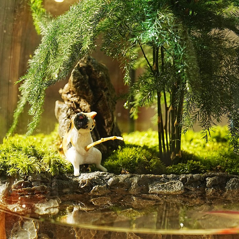 Fishing Cat & Asparagus Fern Moss Landscape Aquarium Ecosystem Jar - Image 3