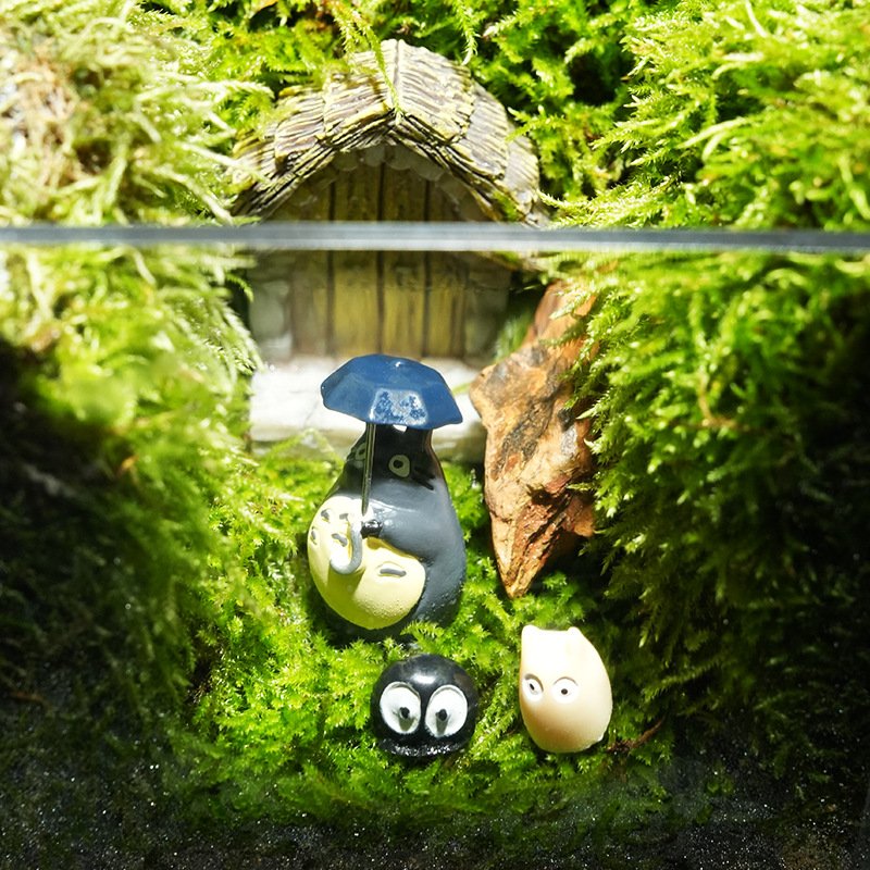 Square Acrylic Flip-Lid Moss Micro Terrarium Box - Image 4