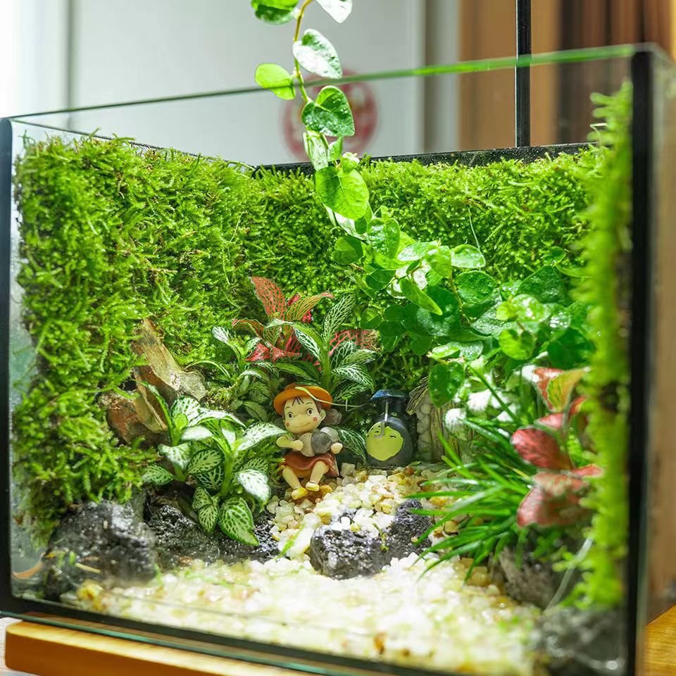 Anime Girl & Secret Door Fairy Tale Mini Forest Landscape - Image 3