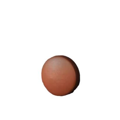 Terracotta Round Flat Disc, Matte Reddish-Brown Clay Circular Slab on Pure White Background
