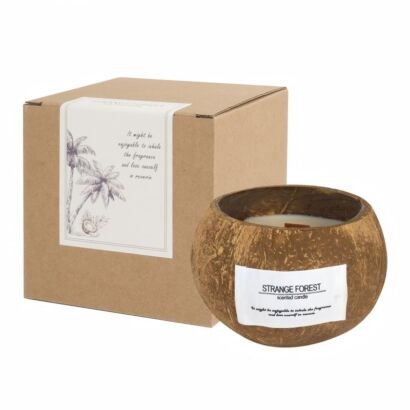 Natural coconut shell scented candle labeled "STRANGE FOREST", paired with kraft paper gift box on plain white background