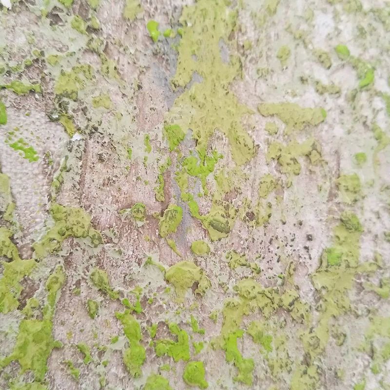 Moss Green Plaster Impasto Abstract Textured Painting | Vertical Japandi Canvas Wall Art - Image 6