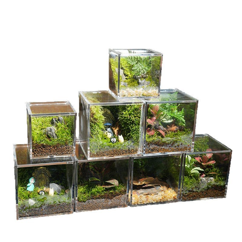 Square Acrylic Flip-Lid Moss Micro Terrarium Box - Image 5