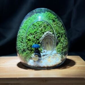 An oval-shaped clear glass terrarium containing a miniature fairy cottage with a wooden door, lush green moss background, white pebble ground, and a small girl figurine in a blue raincoat against a dark backdrop.
