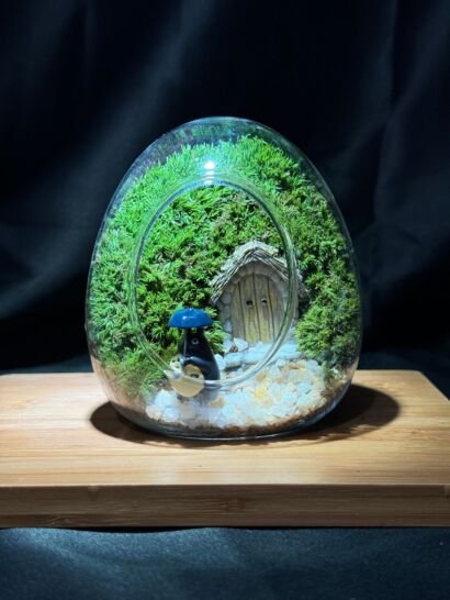 An oval-shaped clear glass terrarium containing a miniature fairy cottage with a wooden door, lush green moss background, white pebble ground, and a small girl figurine in a blue raincoat against a dark backdrop.