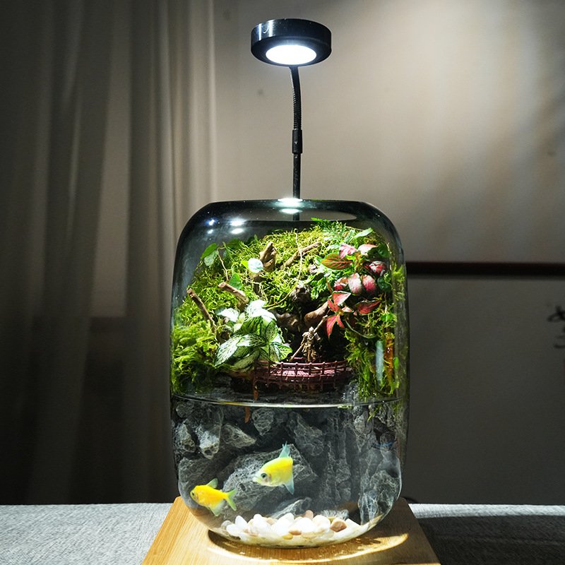 A curved glass jar desktop ecosystem illuminated by a flexible overhead LED grow light, featuring a lush green terrarium landscape on top with moss, nerve plants, and a small wooden bridge, above a water section with swimming yellow fish against a slate rock backdrop.