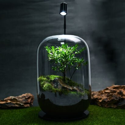 A tall, capsule-shaped glass terrarium jar illuminated by a top LED grow light on a black base, featuring a central miniature bonsai tree, lush green moss, and a natural accent rock set against a dark backdrop.