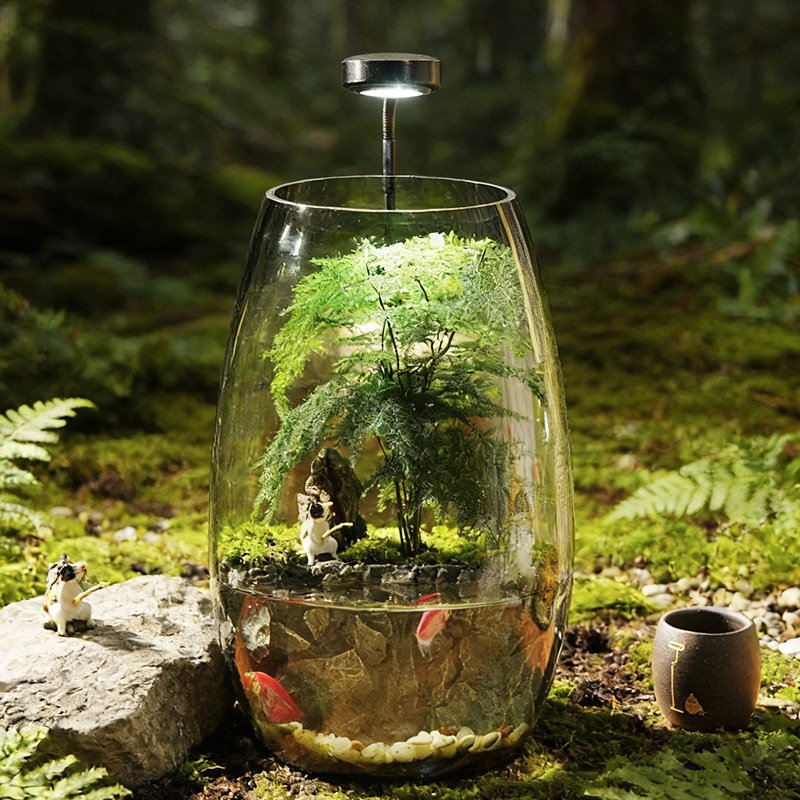 Fishing Cat & Asparagus Fern Moss Landscape Aquarium Ecosystem Jar - Image 5